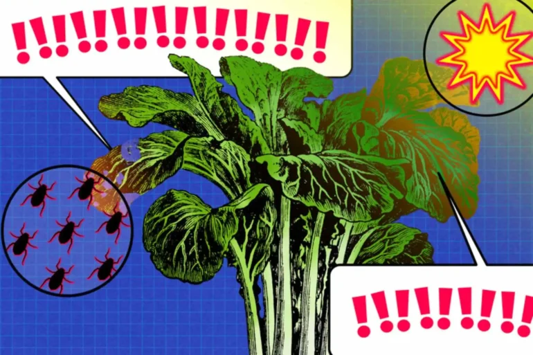 Plant Sensors
