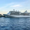 The Royal Caribbean Cruise Passenger Missing Incident